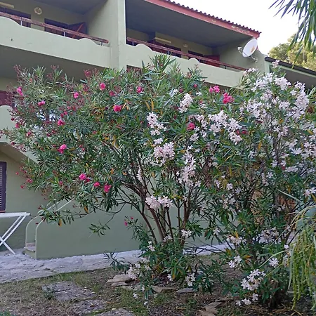 Eden House Dom wakacyjny